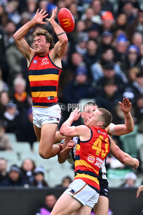 AFL 2023 Round 15 - Collingwood v Adelaide - A-1906224
