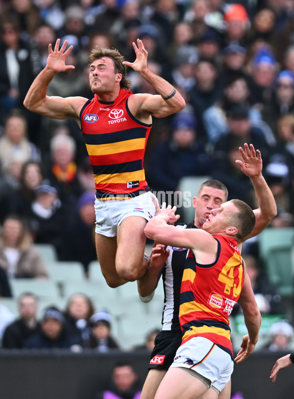 AFL 2023 Round 15 - Collingwood v Adelaide - A-1906226