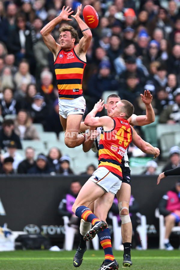 AFL 2023 Round 15 - Collingwood v Adelaide - A-1906227