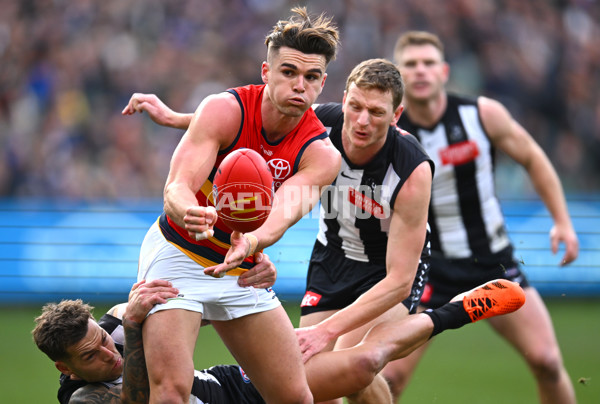 AFL 2023 Round 15 - Collingwood v Adelaide - A-1906232