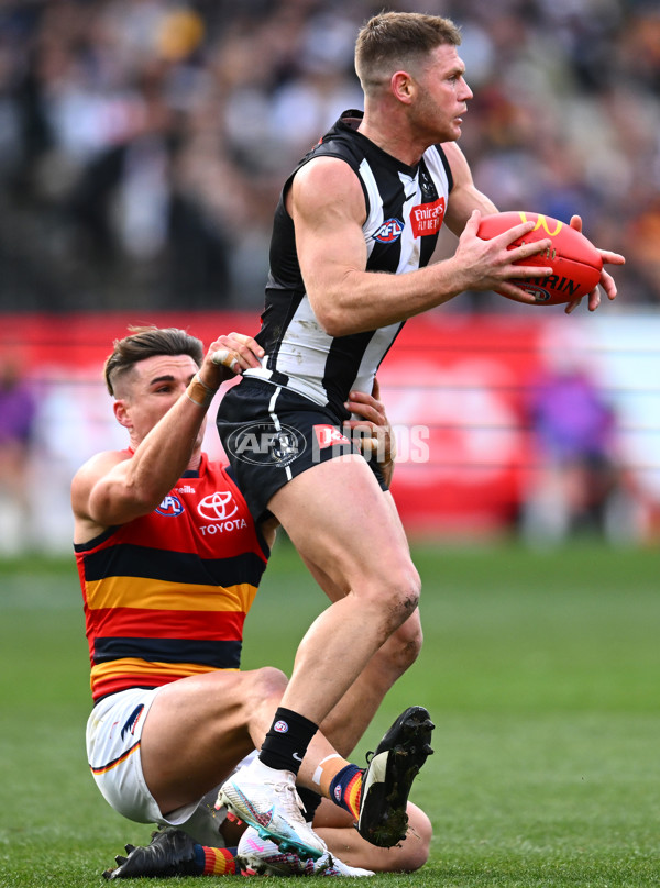 AFL 2023 Round 15 - Collingwood v Adelaide - A-1906234