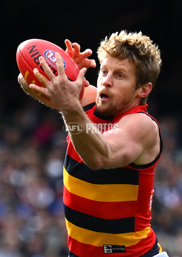 AFL 2023 Round 15 - Collingwood v Adelaide - A-1906236