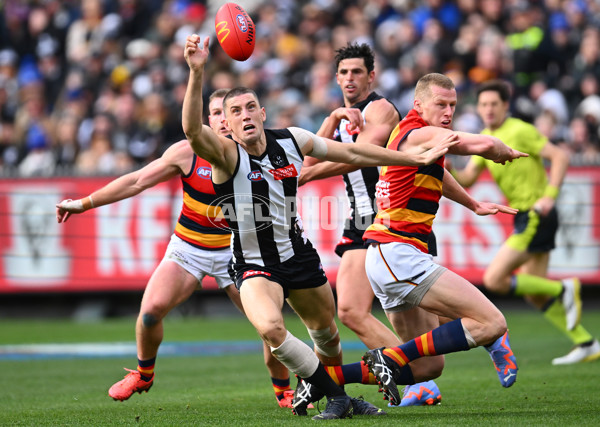 AFL 2023 Round 15 - Collingwood v Adelaide - A-1906243