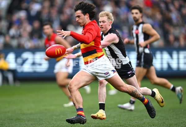 AFL 2023 Round 15 - Collingwood v Adelaide - A-1906248
