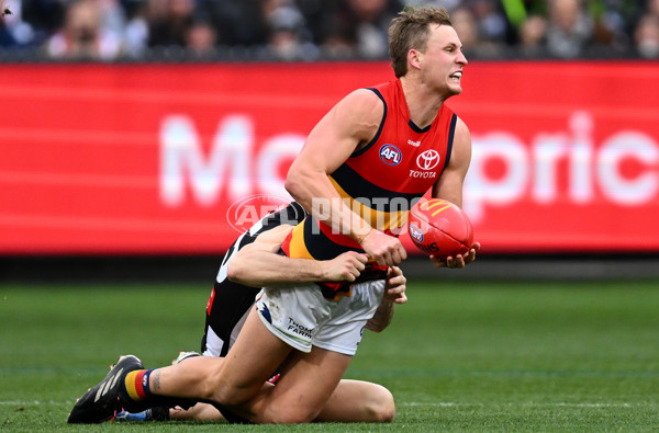 AFL 2023 Round 15 - Collingwood v Adelaide - A-1906249