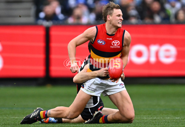 AFL 2023 Round 15 - Collingwood v Adelaide - A-1906251