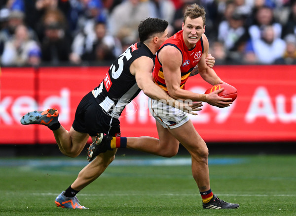 AFL 2023 Round 15 - Collingwood v Adelaide - A-1906252