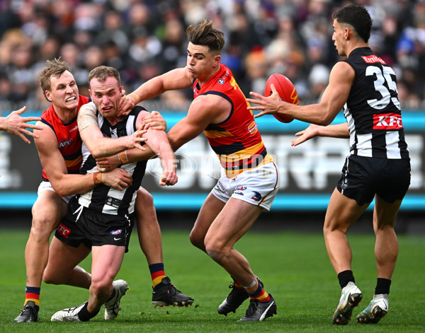 AFL 2023 Round 15 - Collingwood v Adelaide - A-1906255