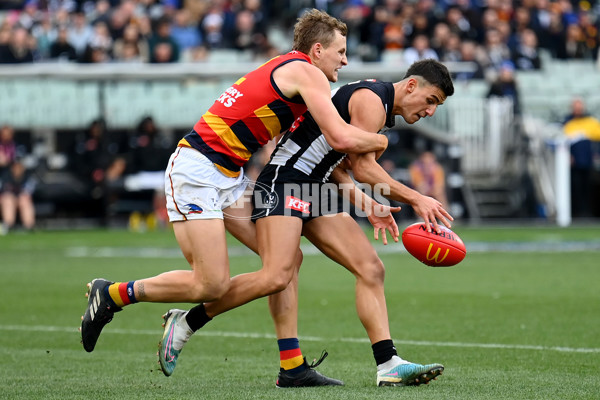 AFL 2023 Round 15 - Collingwood v Adelaide - A-1906259