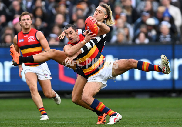 AFL 2023 Round 15 - Collingwood v Adelaide - A-1906260