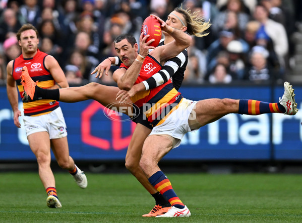 AFL 2023 Round 15 - Collingwood v Adelaide - A-1906261