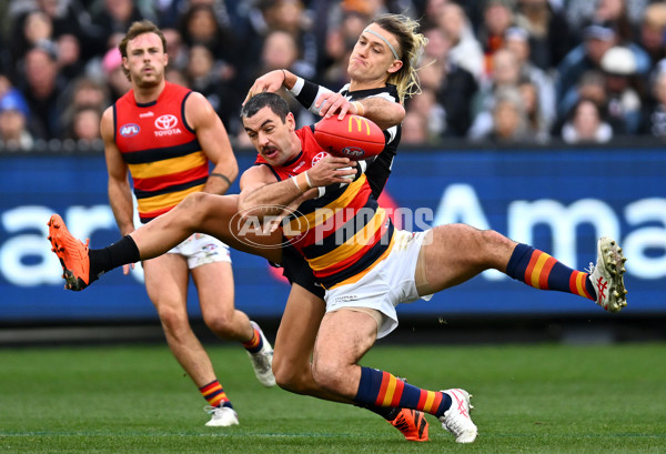 AFL 2023 Round 15 - Collingwood v Adelaide - A-1906263