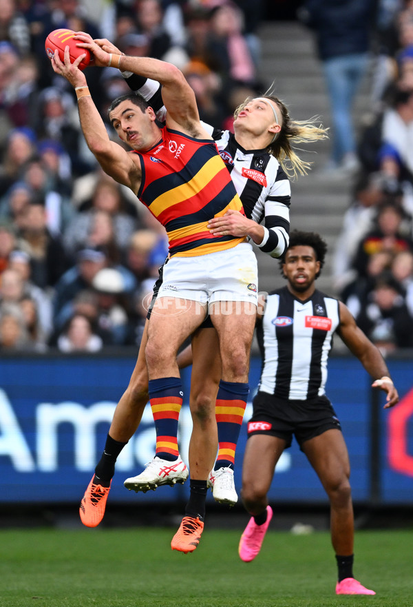 AFL 2023 Round 15 - Collingwood v Adelaide - A-1906264