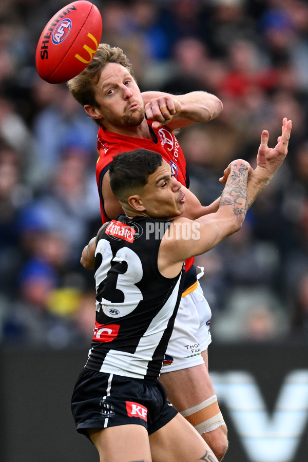AFL 2023 Round 15 - Collingwood v Adelaide - A-1906269