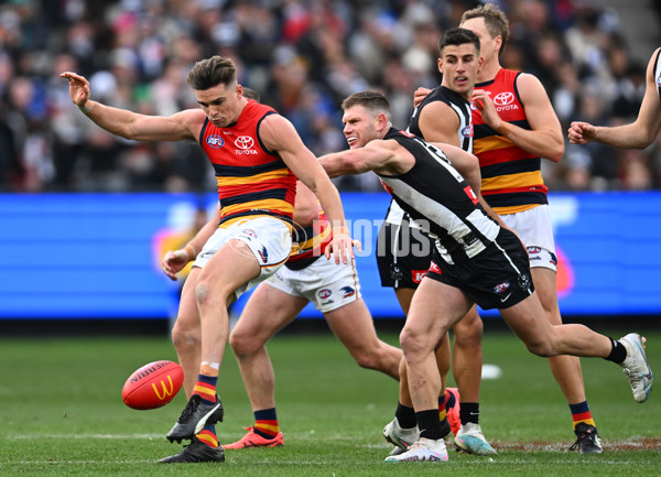 AFL 2023 Round 15 - Collingwood v Adelaide - A-1910426