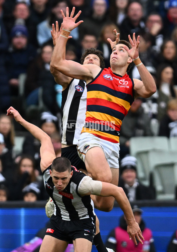 AFL 2023 Round 15 - Collingwood v Adelaide - A-1910440