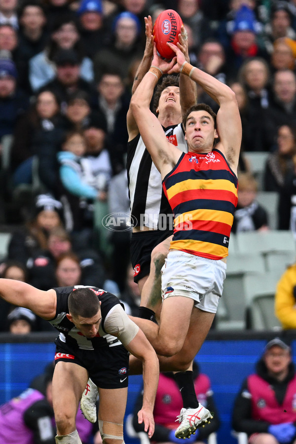 AFL 2023 Round 15 - Collingwood v Adelaide - A-1910441
