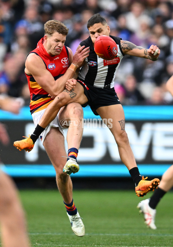AFL 2023 Round 15 - Collingwood v Adelaide - A-1910442