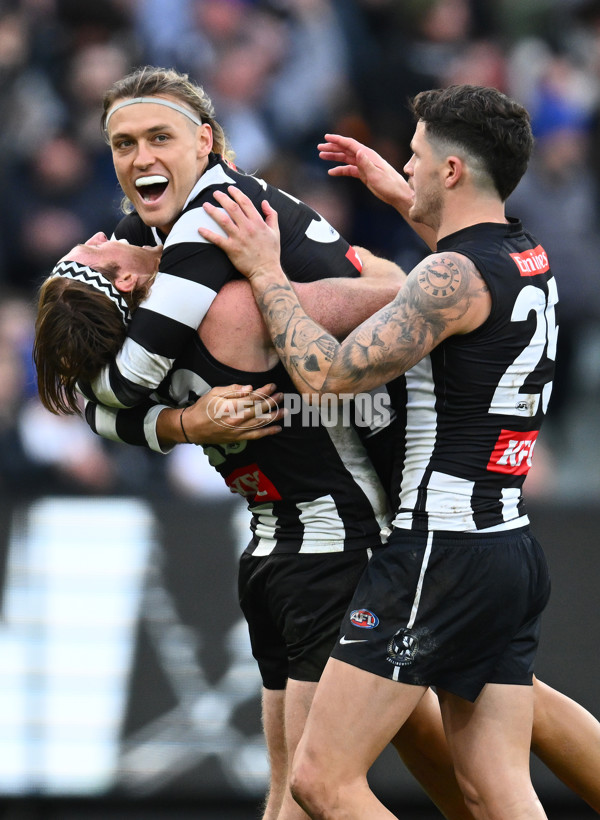 AFL 2023 Round 15 - Collingwood v Adelaide - A-1910446