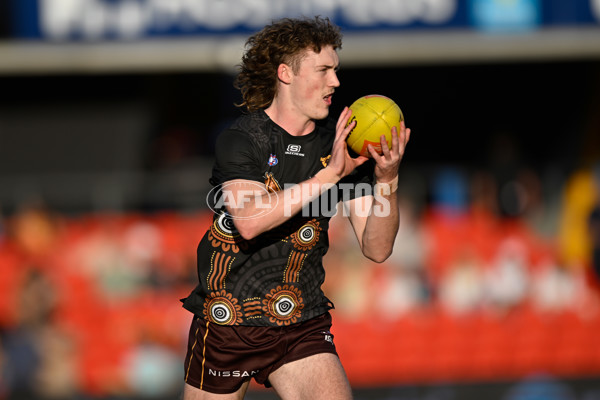 AFL 2023 Round 15 - Gold Coast v Hawthorn - A-1911734