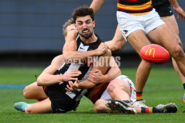 AFL 2023 Round 15 - Collingwood v Adelaide - A-1911753