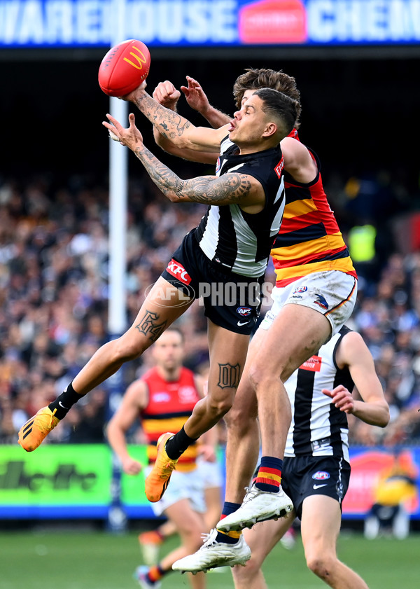 AFL 2023 Round 15 - Collingwood v Adelaide - A-1911755