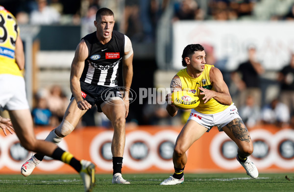 AFL 2024 AAMI Community Series - Collingwood v Richmond - A-2129838