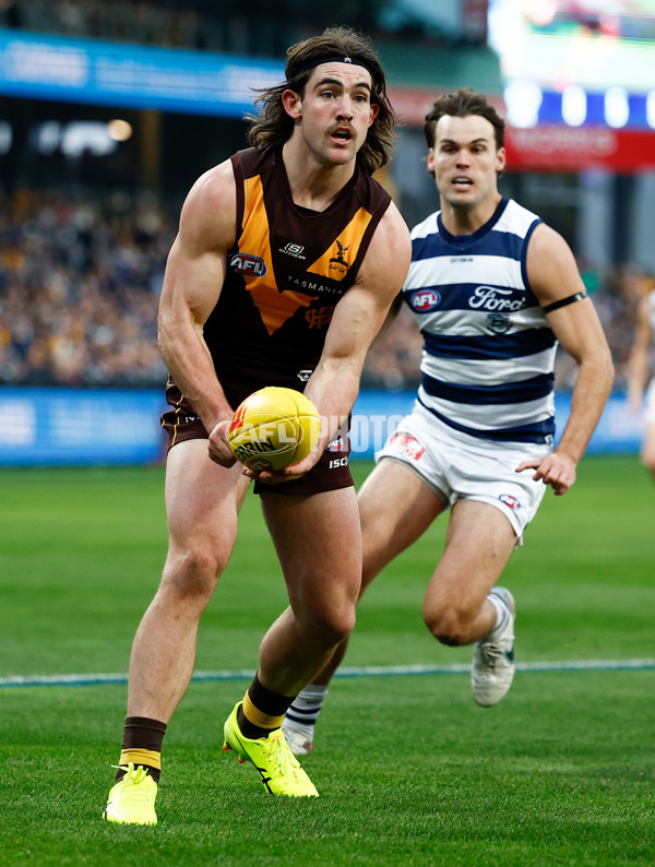 AFL 2024 Round 17 - Geelong v Hawthorn - A-2136328
