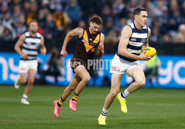 AFL 2024 Round 17 - Geelong v Hawthorn - A-2136329