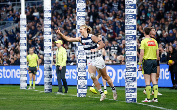 AFL 2024 Round 17 - Geelong v Hawthorn - A-2136331