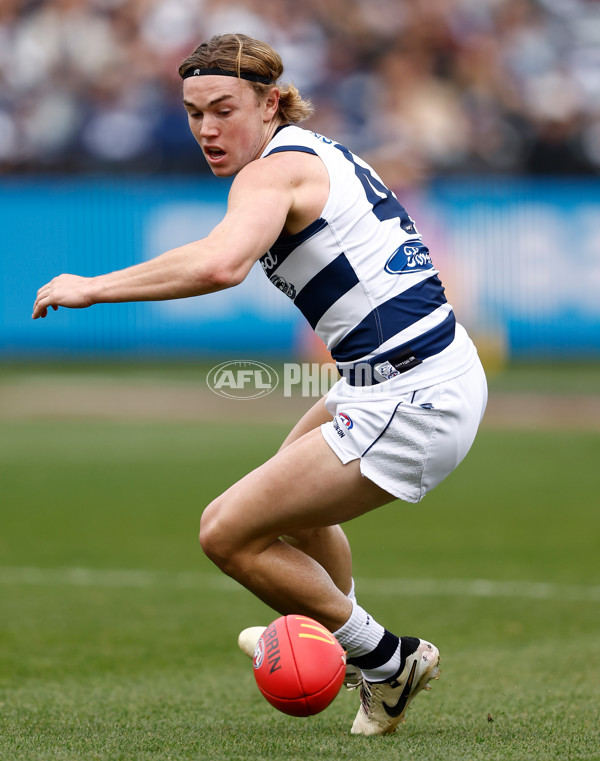 AFL 2024 Round 05 - Geelong v North Melbourne - A-2138296