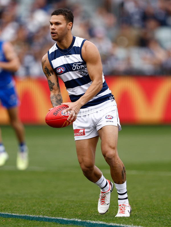 AFL 2024 Round 05 - Geelong v North Melbourne - A-2138297