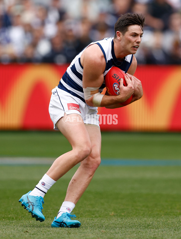 AFL 2024 Round 05 - Geelong v North Melbourne - A-2138298