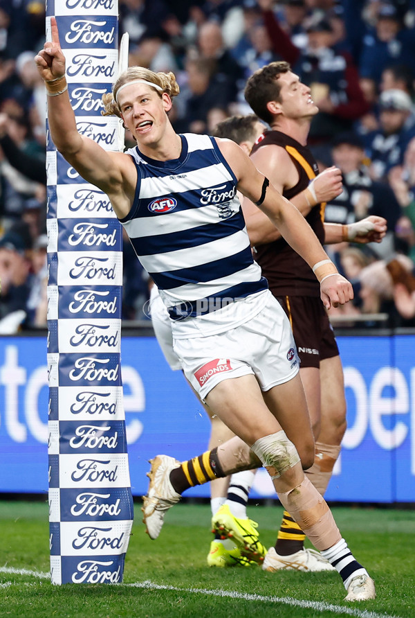 AFL 2024 Round 17 - Geelong v Hawthorn - A-2138349