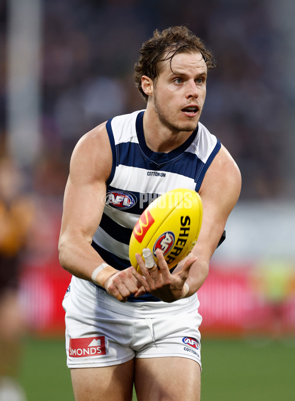 AFL 2024 Round 17 - Geelong v Hawthorn - A-2138350