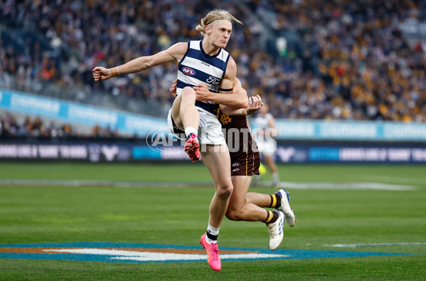 AFL 2024 Round 17 - Geelong v Hawthorn - A-2138351