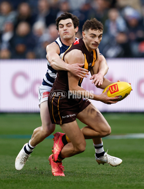 AFL 2024 Round 17 - Geelong v Hawthorn - A-2138353
