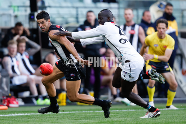 AFL 2024 Round 06 - Collingwood v Port Adelaide Test - A-2143186