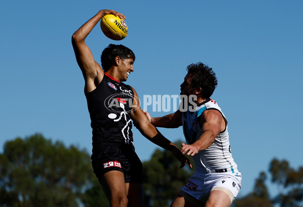AFL 2025 AAMI Community Series - St Kilda v Port Adelaide - A-2153878