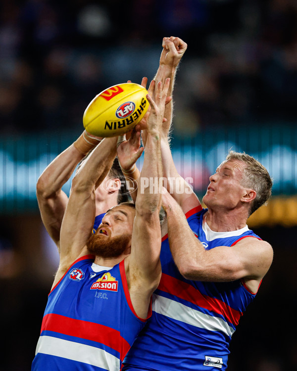 AFL 2024 Round 13 - Western Bulldogs v Brisbane - A-2154466