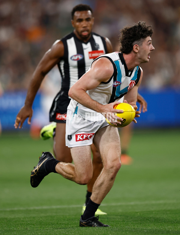 AFL 2025 Round 01 - Collingwood & Port Adelaide - A-2157468