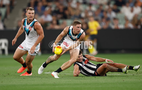 AFL 2025 Round 01 - Collingwood & Port Adelaide - A-2157471