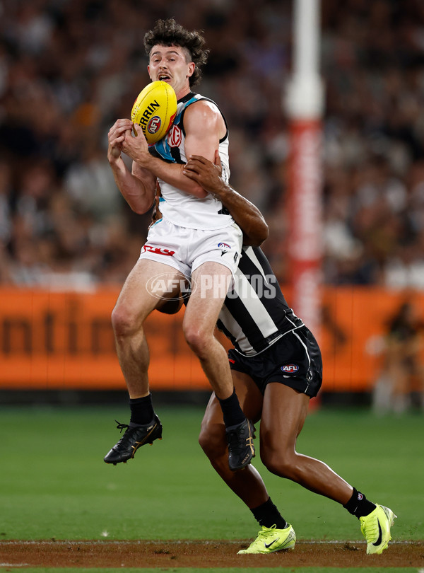 AFL 2025 Round 01 - Collingwood v Port Adelaide - A-2158582