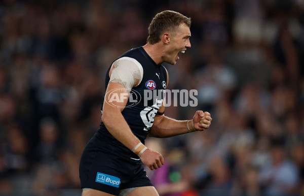 AFL 2025 Round 03 - Carlton v Western Bulldogs - A-2158599