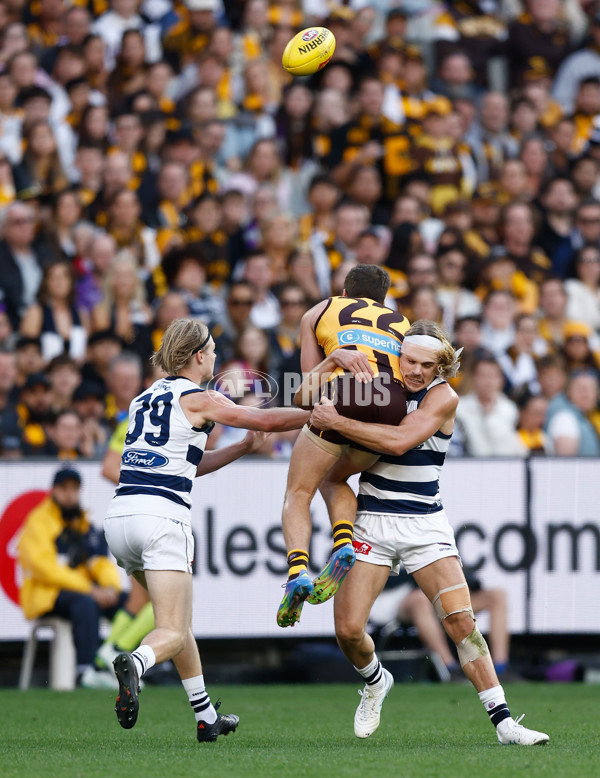 AFL 2025 Round 06 - Geelong v Hawthorn - A-2161604