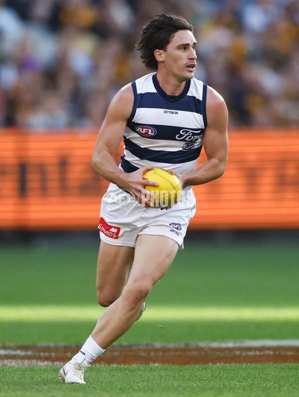 AFL 2025 Round 06 - Geelong v Hawthorn - A-2161609