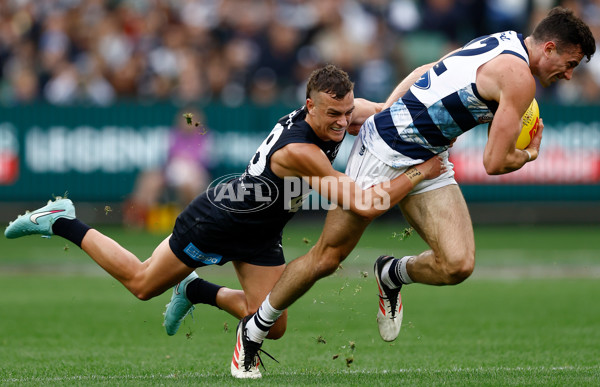 AFL 2025 Round 07 - Carlton v Geelong - A-2161625