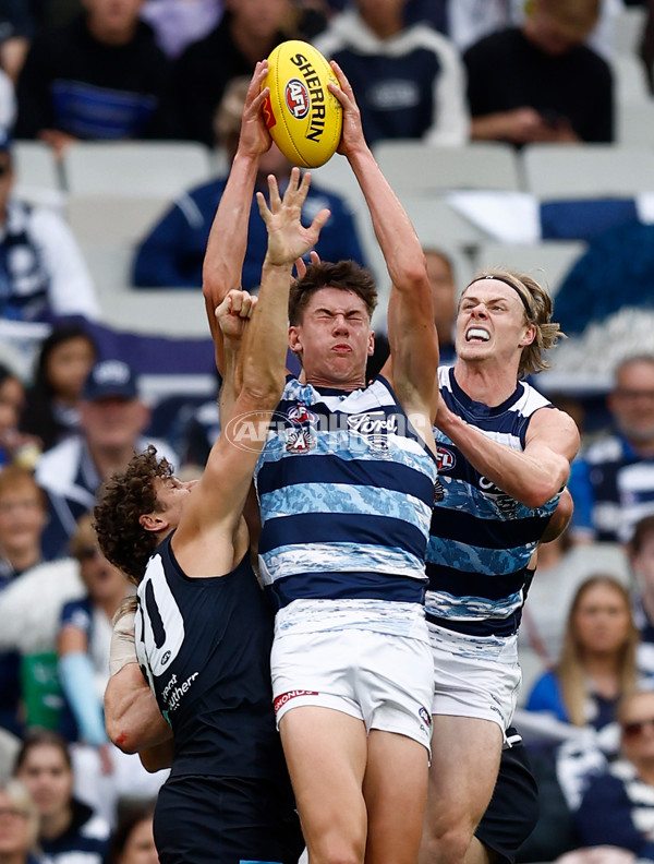 AFL 2025 Round 07 - Carlton v Geelong - A-2161627