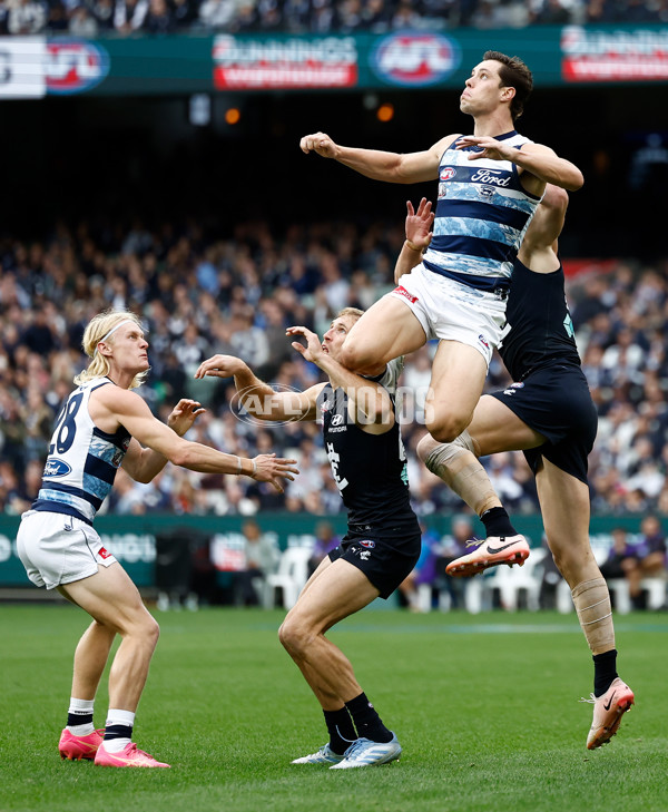 AFL 2025 Round 07 - Carlton v Geelong - A-2161628