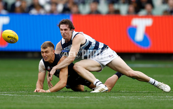 AFL 2025 Round 07 - Carlton v Geelong - A-2161632